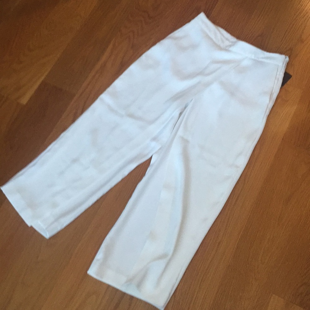 Zara pant